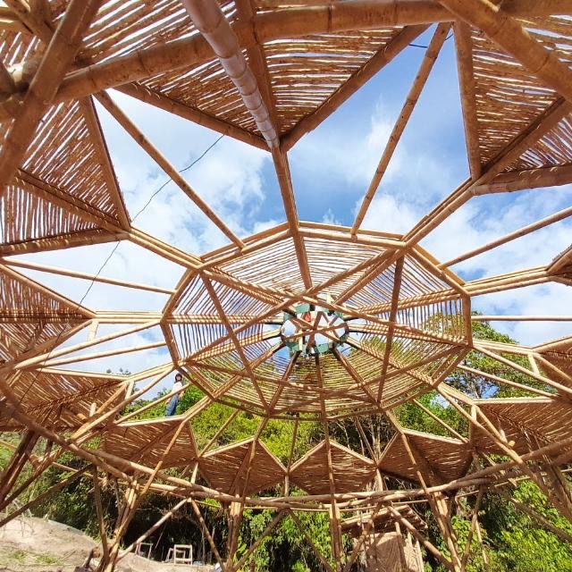 Bamboo Geometry Patterns 