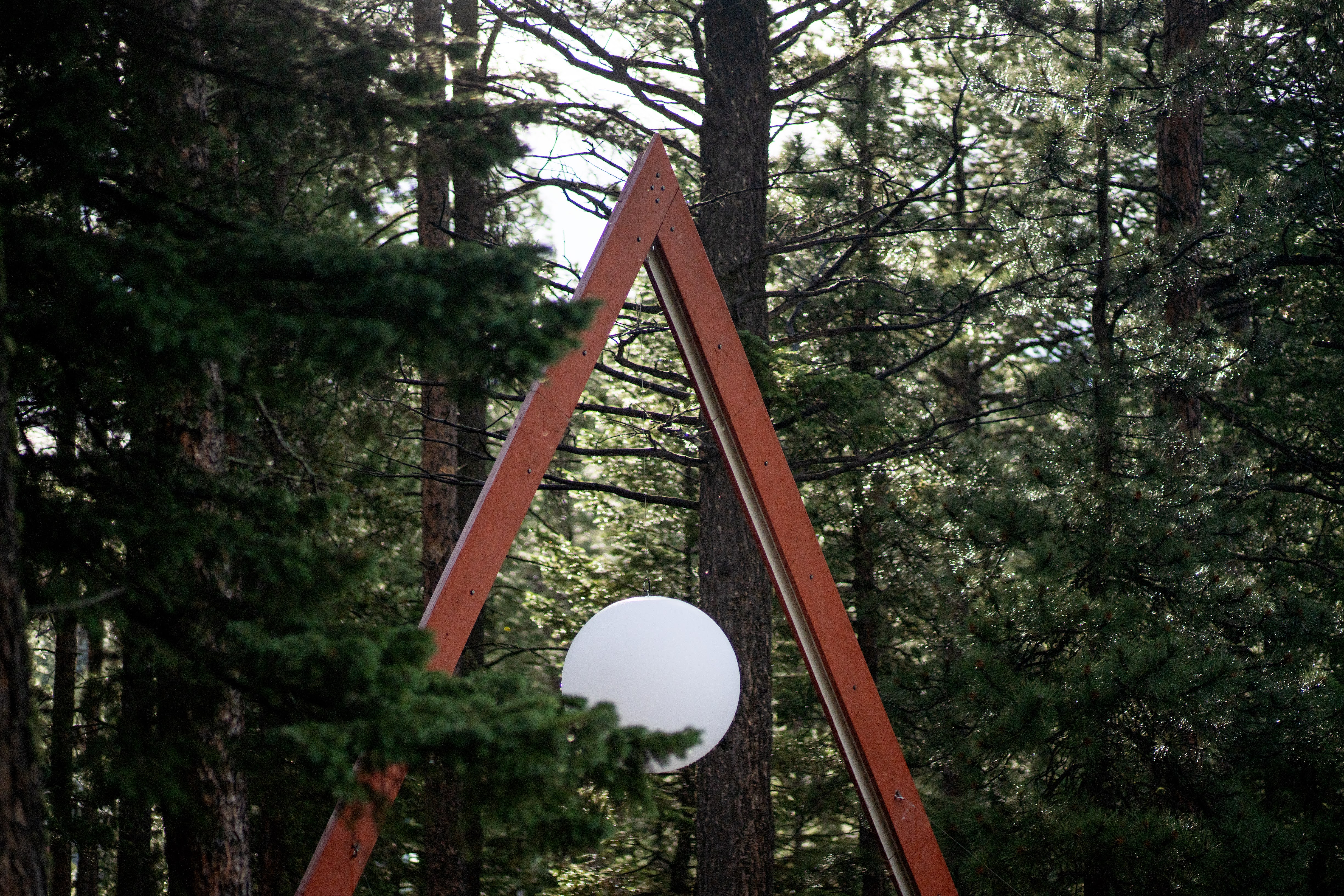 Wedding Arch - Forest