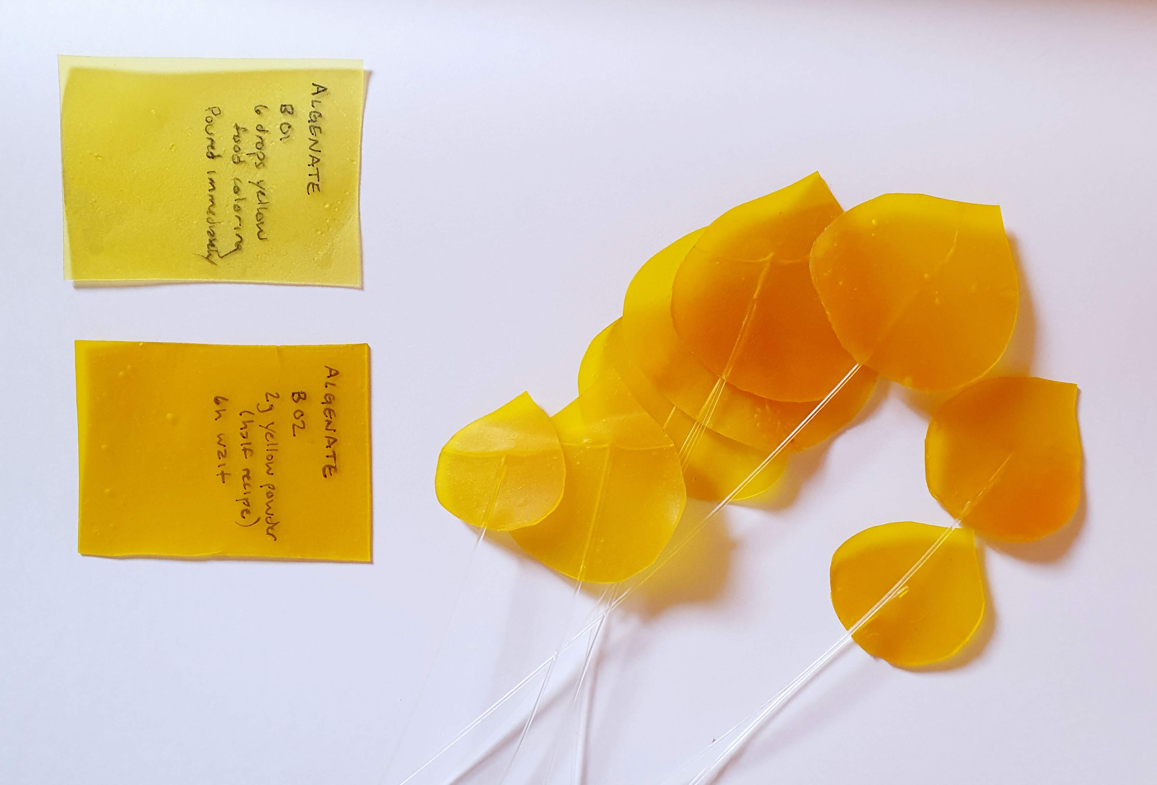 Bioplastic Aspen Leaves